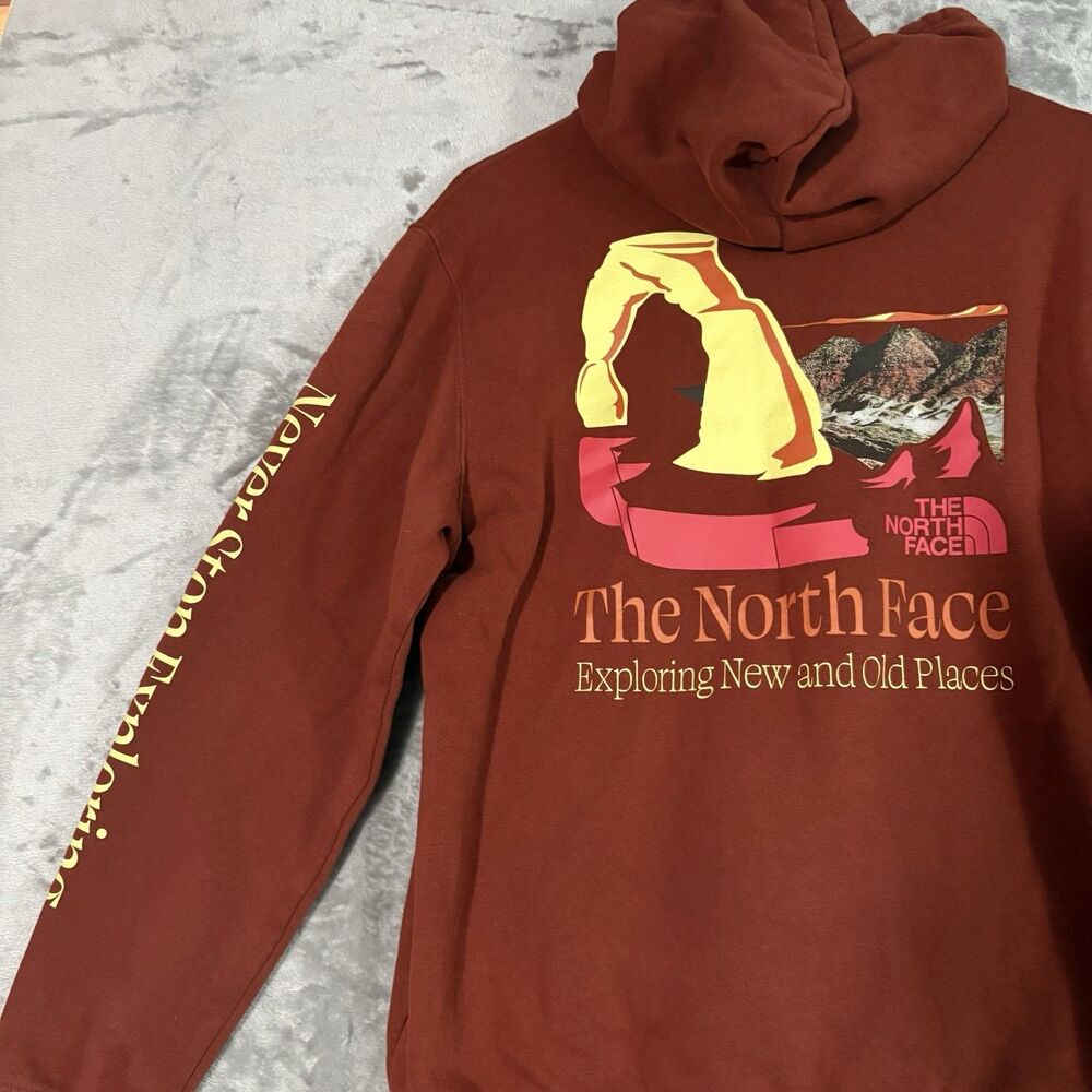 The North Face Places We Love Hoodie Medium Brown Arches National Park Gorpcore